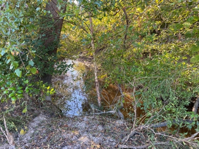Peaceful East Texas Acreage with Running Creek - image 7