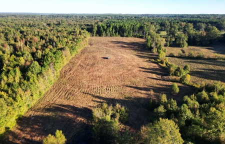 Peaceful East Texas Acreage with Running Creek - image 3