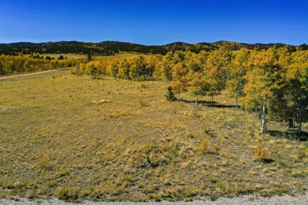 Mountain Oasis In Ranch Of The Rockies - image 13