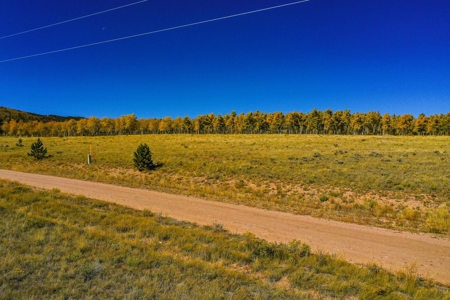 Mountain Oasis In Ranch Of The Rockies - image 17