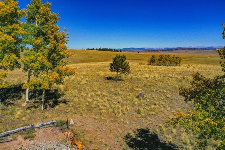 Mountain Oasis In Ranch Of The Rockies - image 26