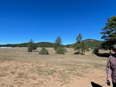 5.18 Lot with Shop for Sale in Cotopaxi Colorado - image 6