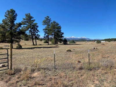 5.18 Lot with Shop for Sale in Cotopaxi Colorado - image 8