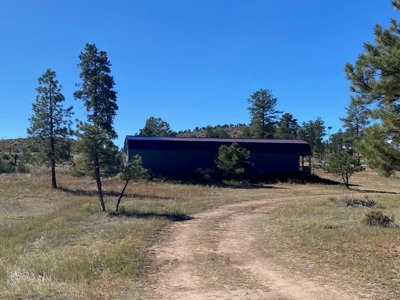5.18 Lot with Shop for Sale in Cotopaxi Colorado - image 3