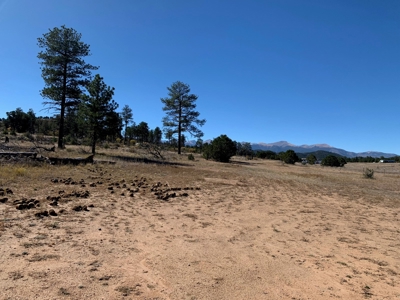 5.18 Lot with Shop for Sale in Cotopaxi Colorado - image 22