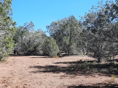 This 36 ac Northern AZ off Grid property in big elk country - image 12