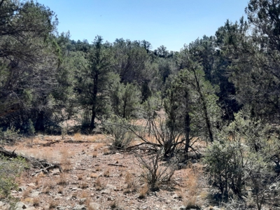 This 36 ac Northern AZ off Grid property in big elk country - image 4