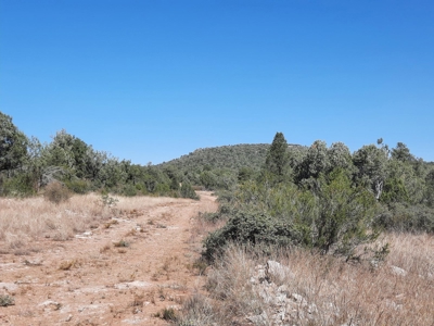 This 36 ac Northern AZ off Grid property in big elk country - image 13