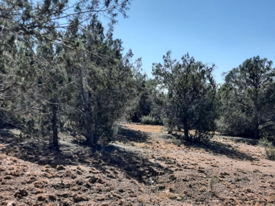 This 36 ac Northern AZ off Grid property in big elk country - image 11