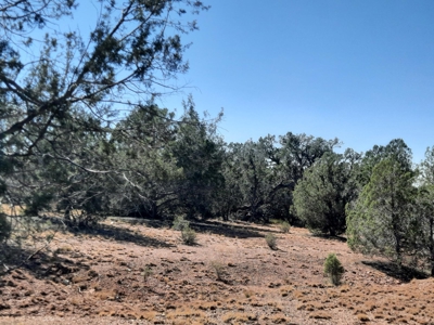 This 36 ac Northern AZ off Grid property in big elk country - image 10