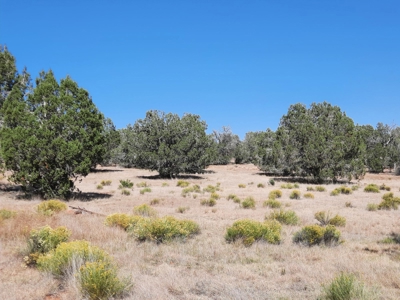 42 acre off grid mountain retreat property - image 10