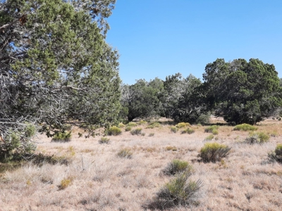 42 acre off grid mountain retreat property - image 9