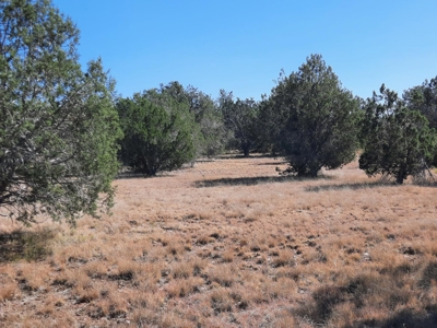 42 acre off grid mountain retreat property - image 8