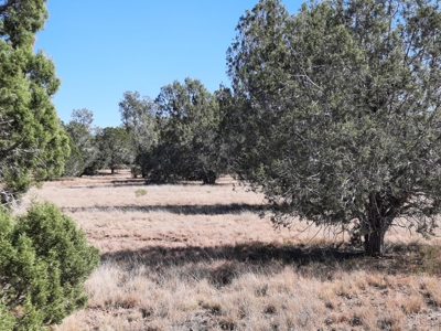 42 acre off grid mountain retreat property - image 1