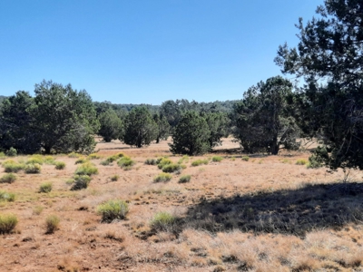 42 acre off grid mountain retreat property - image 3