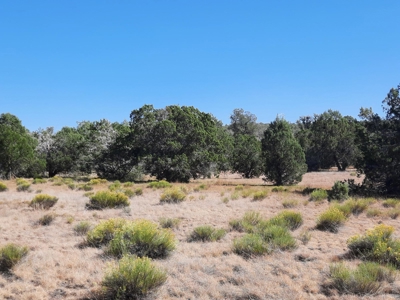 42 acre off grid mountain retreat property - image 4
