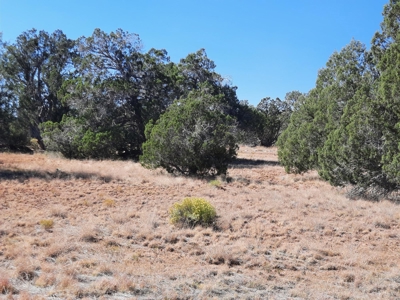 42 acre off grid mountain retreat property - image 6