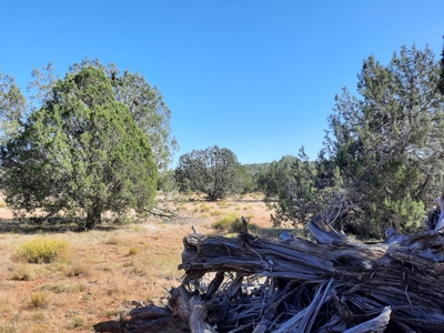 42 acre off grid mountain retreat property - image 2