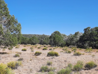 42 acre off grid mountain retreat property - image 5