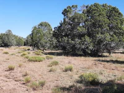 42 acre off grid mountain retreat property - image 7
