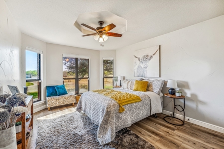 Impeccable remodeled Home on 49.9 acres -Bring the Horses - image 2