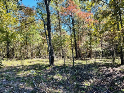 Acreage In The Ozark Mountains Of Calico Rock, Arkansas - image 15