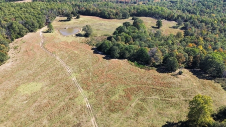 Acreage In The Ozark Mountains Of Calico Rock, Arkansas - image 5