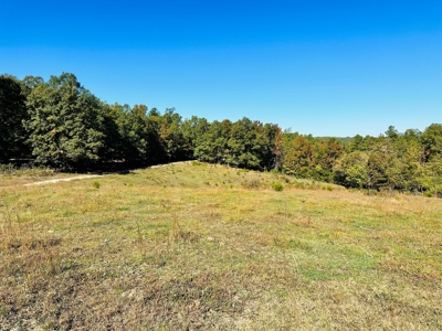 Acreage In The Ozark Mountains Of Calico Rock, Arkansas - image 7