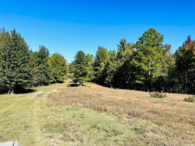 Acreage In The Ozark Mountains Of Calico Rock, Arkansas - image 14