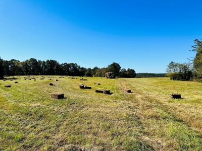 Acreage In The Ozark Mountains Of Calico Rock, Arkansas - image 23