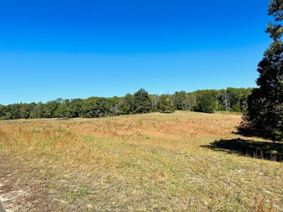 Acreage In The Ozark Mountains Of Calico Rock, Arkansas - image 20