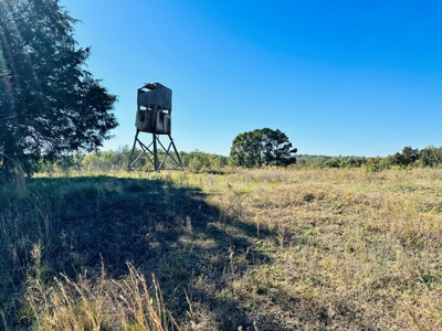 Acreage In The Ozark Mountains Of Calico Rock, Arkansas - image 21