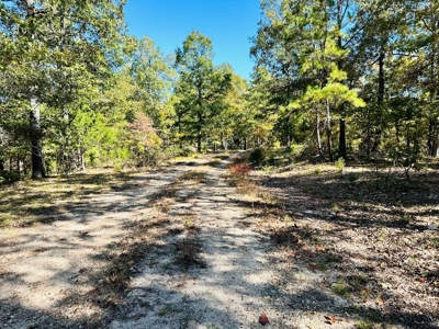 Acreage In The Ozark Mountains Of Calico Rock, Arkansas - image 16