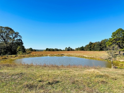 Acreage In The Ozark Mountains Of Calico Rock, Arkansas - image 22