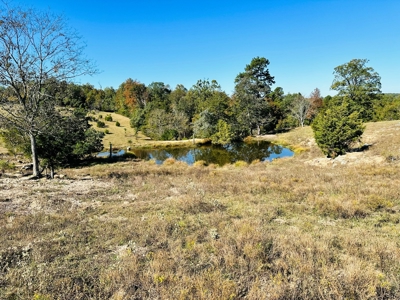 Acreage In The Ozark Mountains Of Calico Rock, Arkansas - image 13