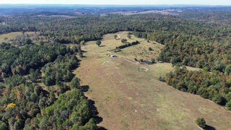 Acreage In The Ozark Mountains Of Calico Rock, Arkansas - image 3