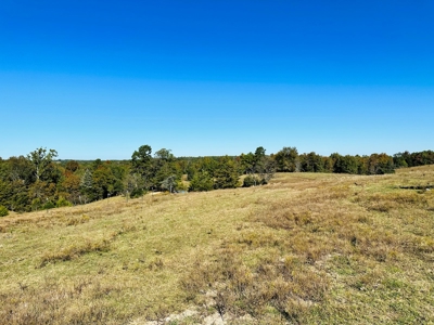 Acreage In The Ozark Mountains Of Calico Rock, Arkansas - image 10