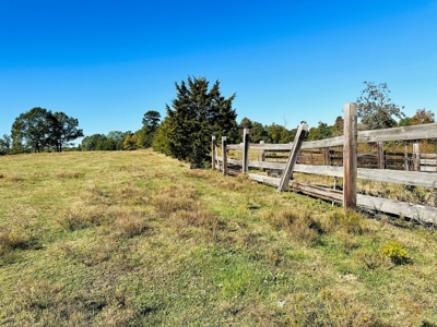 Acreage In The Ozark Mountains Of Calico Rock, Arkansas - image 12