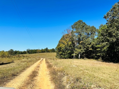 Acreage In The Ozark Mountains Of Calico Rock, Arkansas - image 8