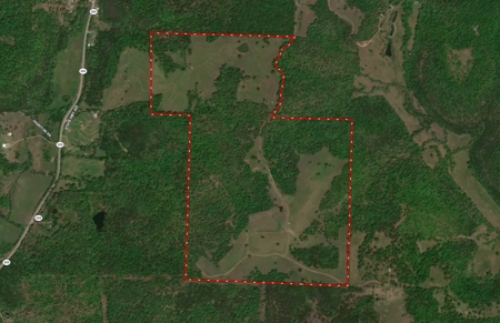 Acreage In The Ozark Mountains Of Calico Rock, Arkansas - image 24
