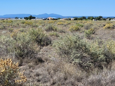5 acres at intersection of Martinez Road and Camino Poinente - image 1
