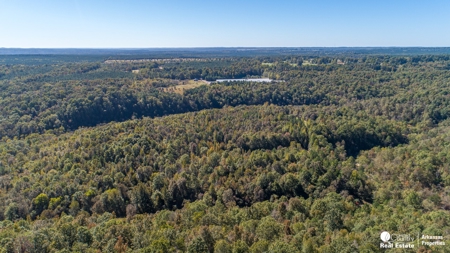 Hunting and recreational land for sale in Arkansas - image 7