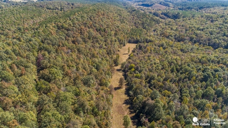 Hunting and recreational land for sale in Arkansas - image 5