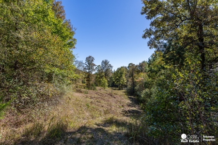Hunting and recreational land for sale in Arkansas - image 2