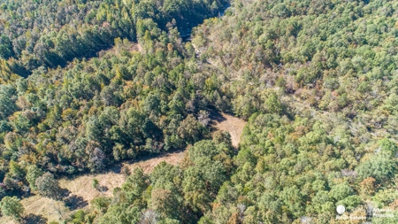 Hunting and recreational land for sale in Arkansas - image 8