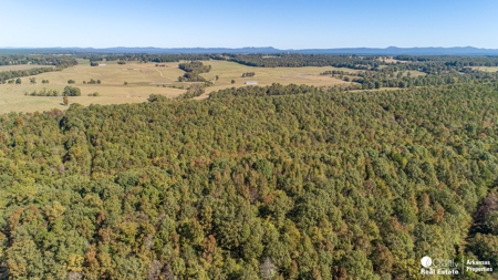 Hunting and recreational land for sale in Arkansas - image 4