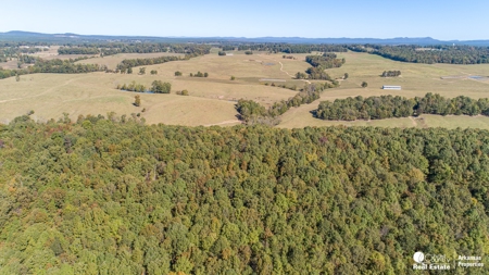 Hunting and recreational land for sale in Arkansas - image 6