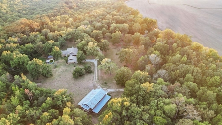 Rustic Home on 11.5 Acres in Catahoula Parish, LA - image 8