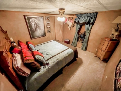 Rustic Home on 11.5 Acres in Catahoula Parish, LA - image 39