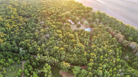 Rustic Home on 11.5 Acres in Catahoula Parish, LA - image 6